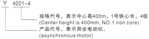 西安泰富西玛Y系列(H355-1000)高压YE2160L-6三相异步电机型号说明